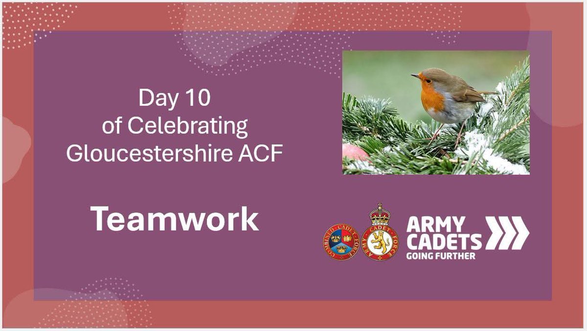 Gloucestershire Army Cadet Force tweet media