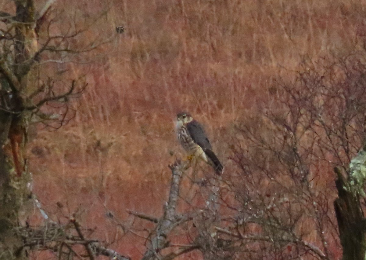 Martin Wood tweet media