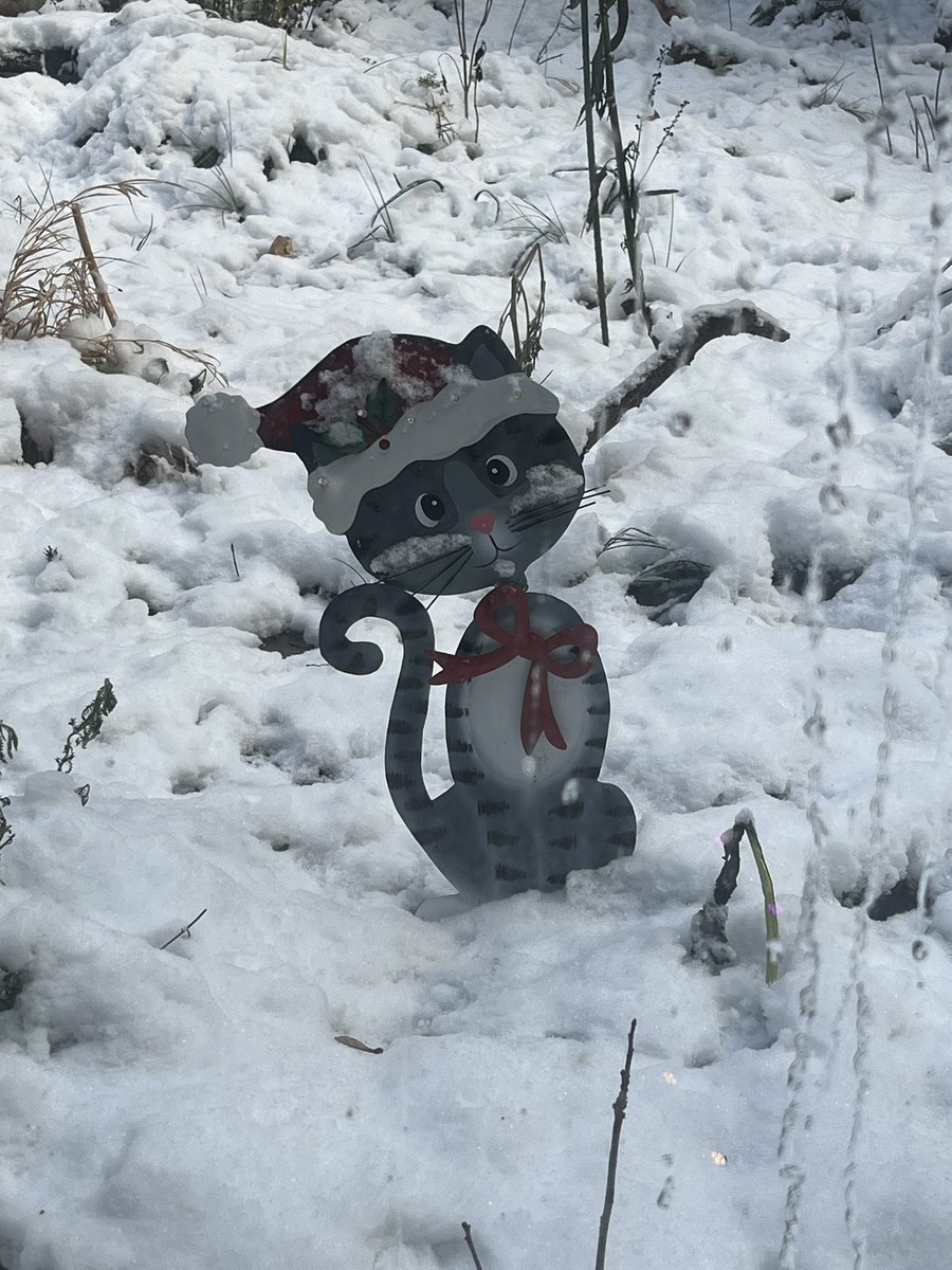 Baby, it’s cold outside