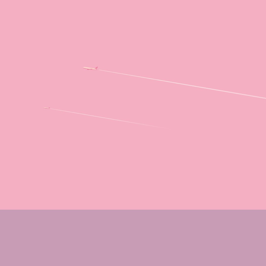 ☼ 冬至の太陽と鳥 𓅬

Sun and birds on the winter solstice

🌅2024年12月21日(土) 18:21