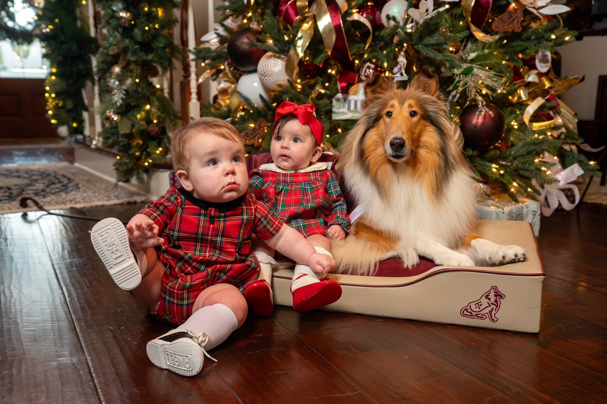 reveille's tweet photo. what do you mean I can’t keep them https://t.co/tg6CtkYSqM