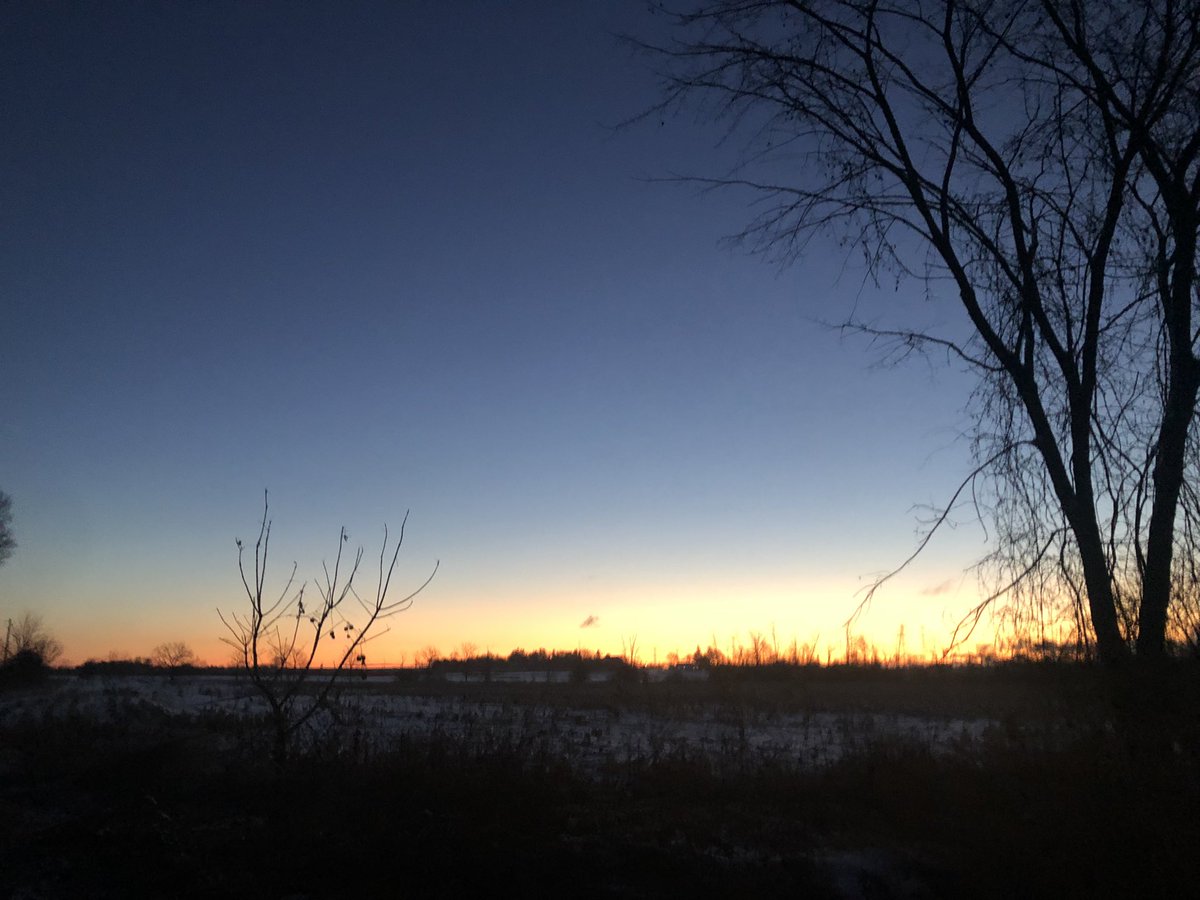 Allina Lee 이애리 tweet media