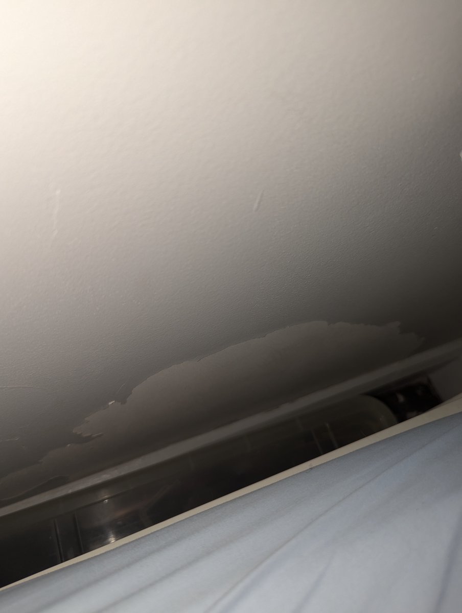 fallguysharambe's tweet photo. Parents saying we selling this house in a month and look how Mr Mingus reacting to it ... eating da fucking WALL https://t.co/aQlYnzqJxe
