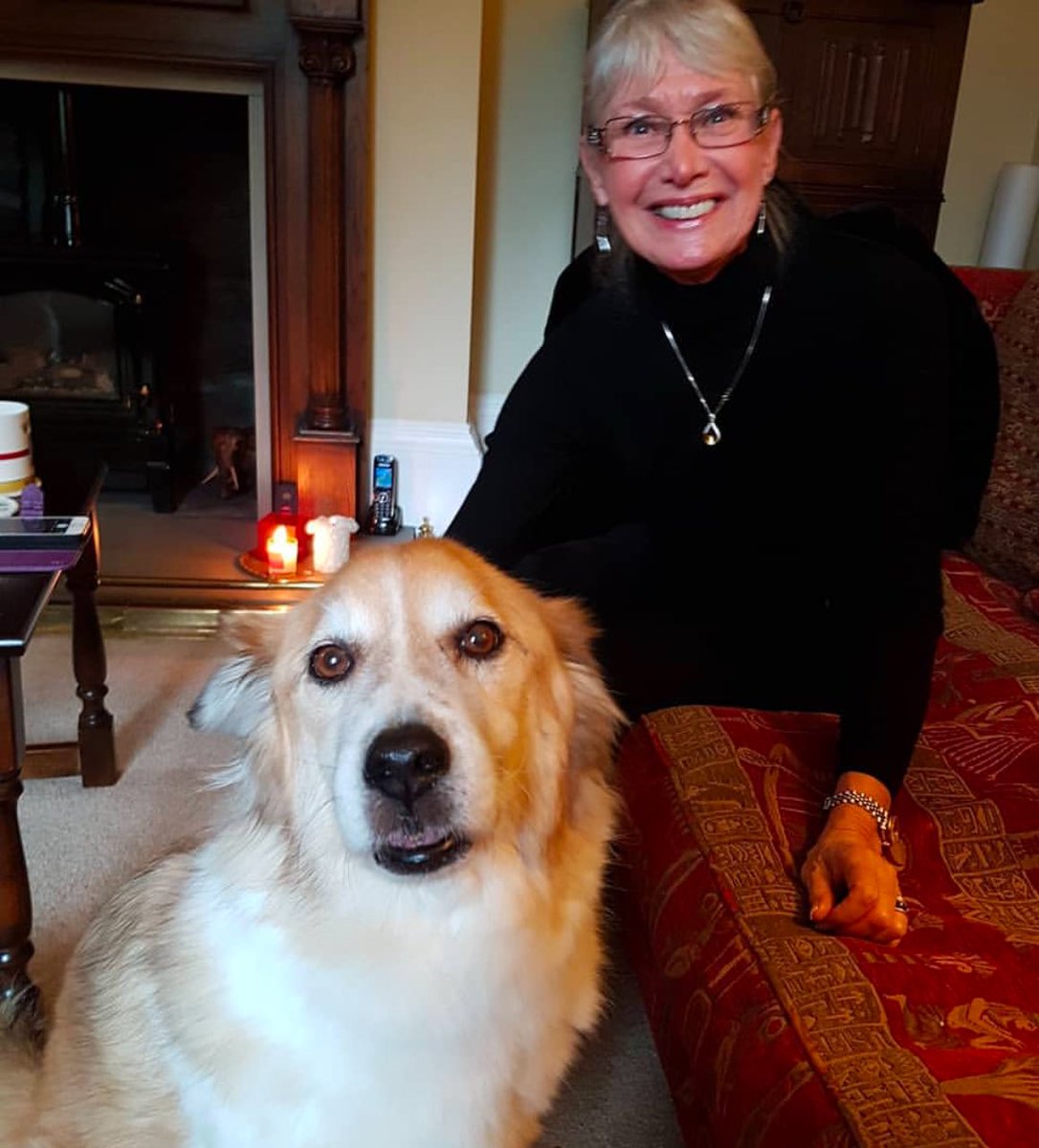 Saving Strays 🐾🐶🐕 tweet media