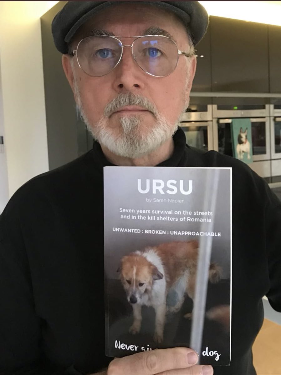 Saving Strays 🐾🐶🐕 tweet media