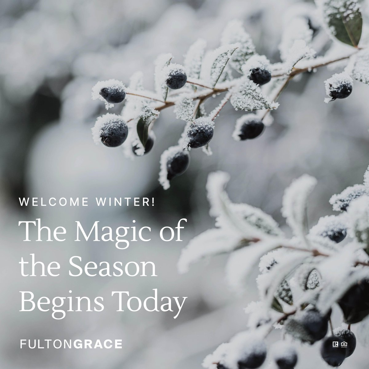 Fulton Grace Realty tweet media