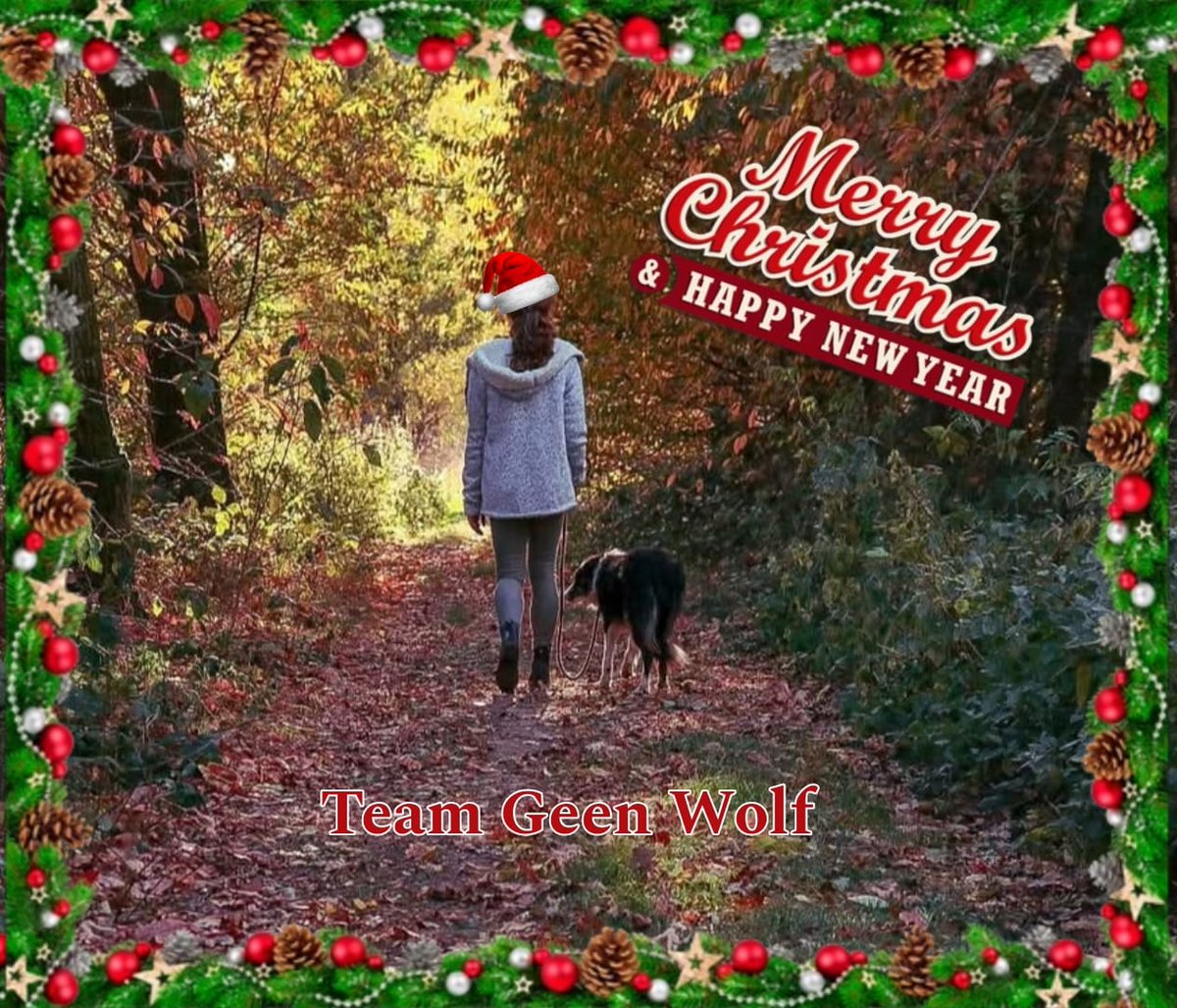 Wolvenmeldpunt Geen Wolf (@geenwolf) on Twitter photo 