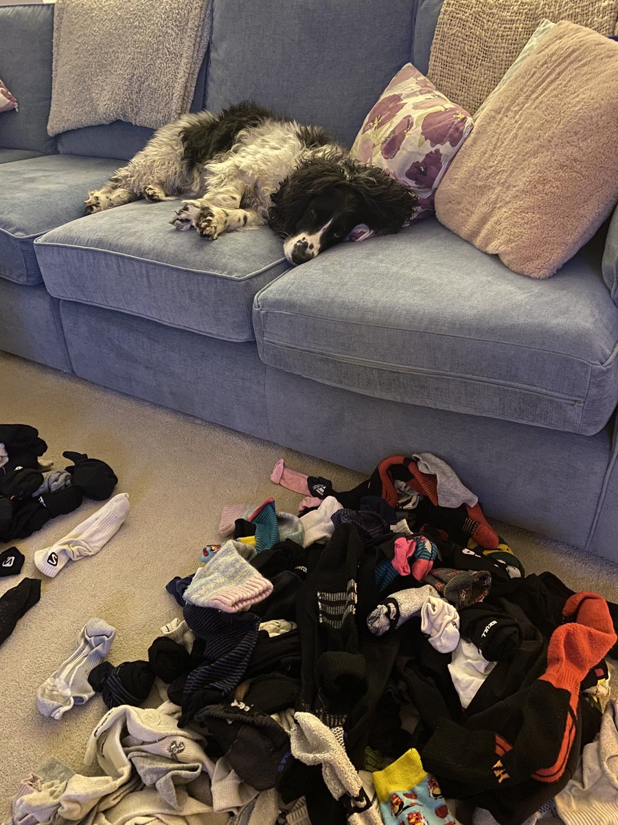 Not a lot of enthusiasm being shown to help me match the socks