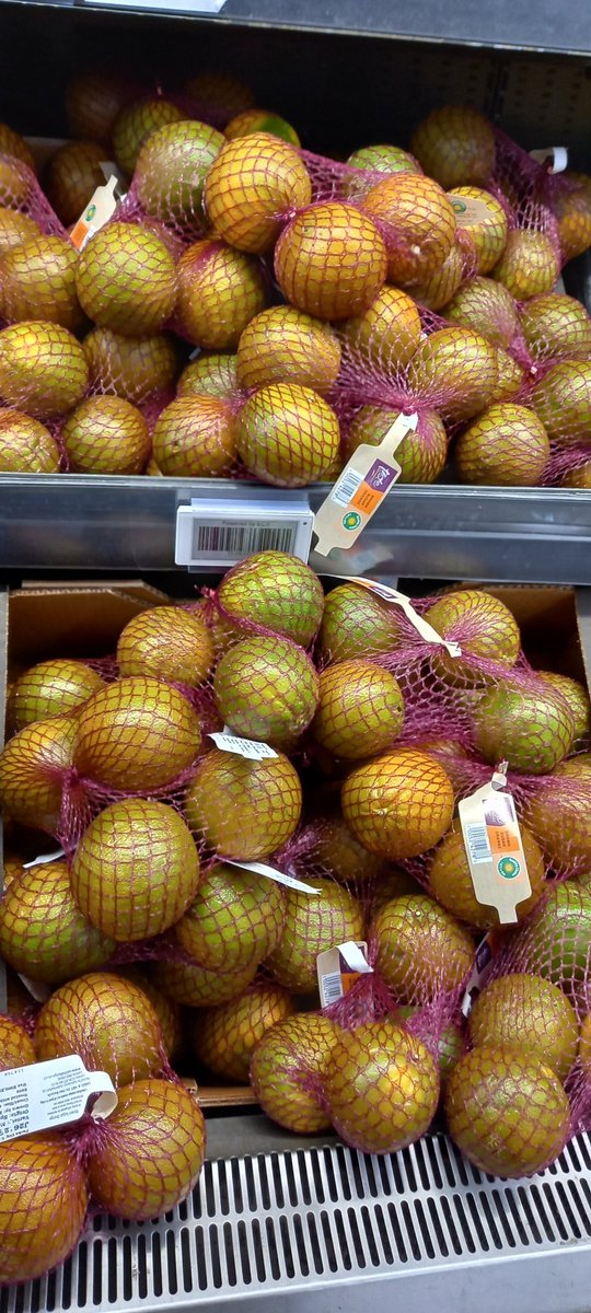 Joolieeee 💙 tweet media