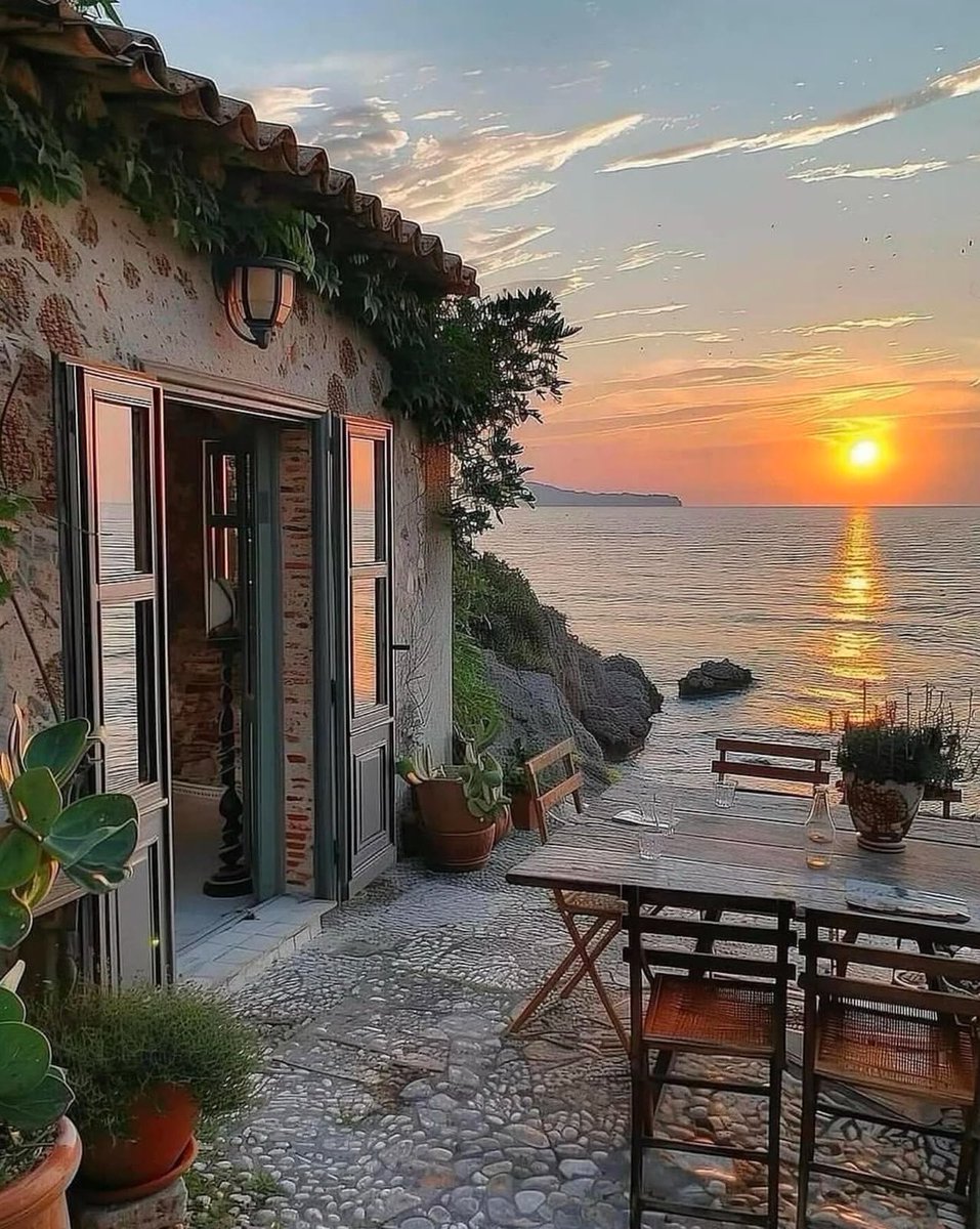 WORLD 2026 🌊 tweet media