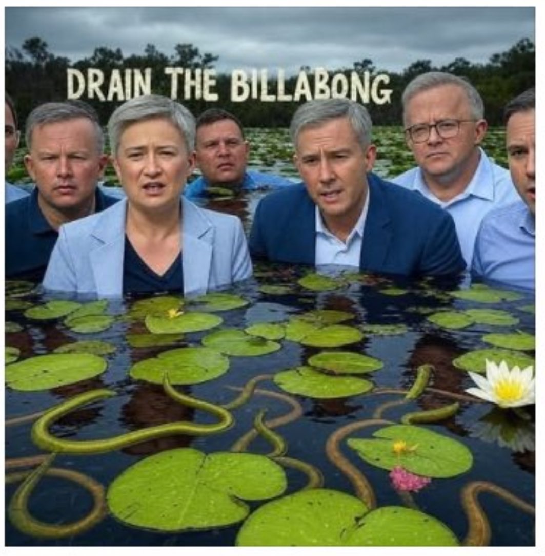 PeterChatman7's tweet photo. @AllBiteNoBark88 Time to DRAIN THE BILLABONG.  Total Traitors to all Aussies. https://t.co/UZihSPABut