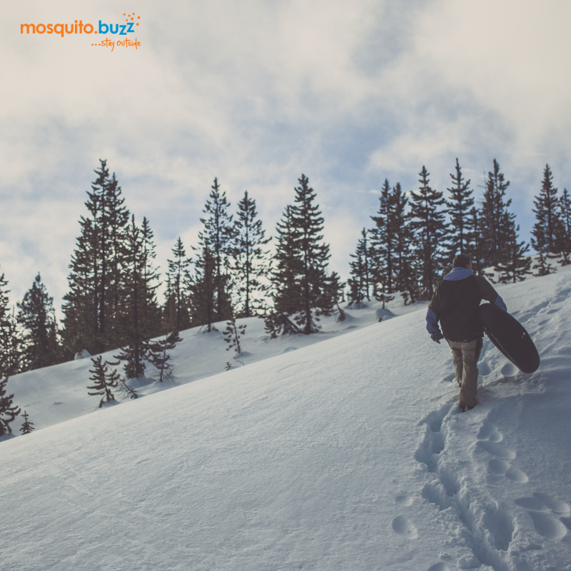 themosquitobuzz's tweet image. ❄️ Winter is here! While the cold may keep the mosquitoes at bay, we’re always ready to protect your home. Stay cozy and mosquito-free.

#mosquitobuzz #stayoutside