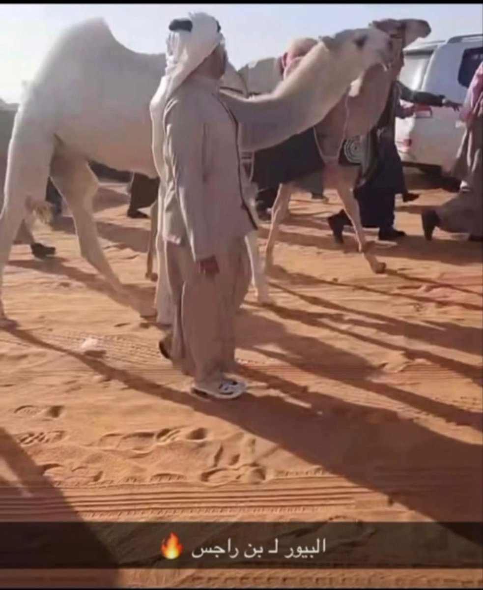 فايز الدوسري ☤| FAYEZ. ALDOSSARY tweet media