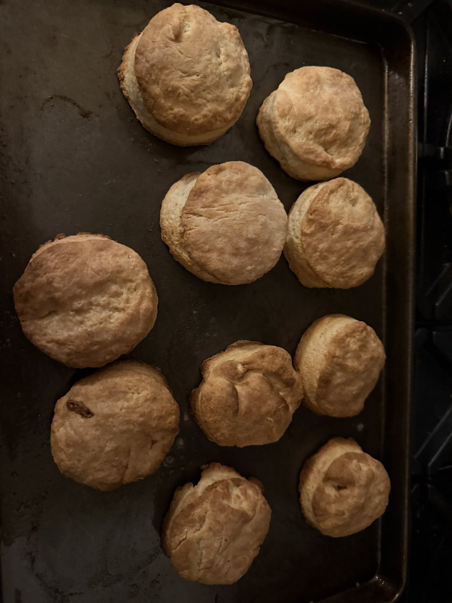 dave_pasin's tweet photo. My first attempt at making biscuits
Must say they’re pretty tasty.
@TatarynMary @sarahblyth @pnjaban @ryanlpainter @VancityReynolds @KristinRaworth
#biscuitbaking https://t.co/q21B4b5eBb