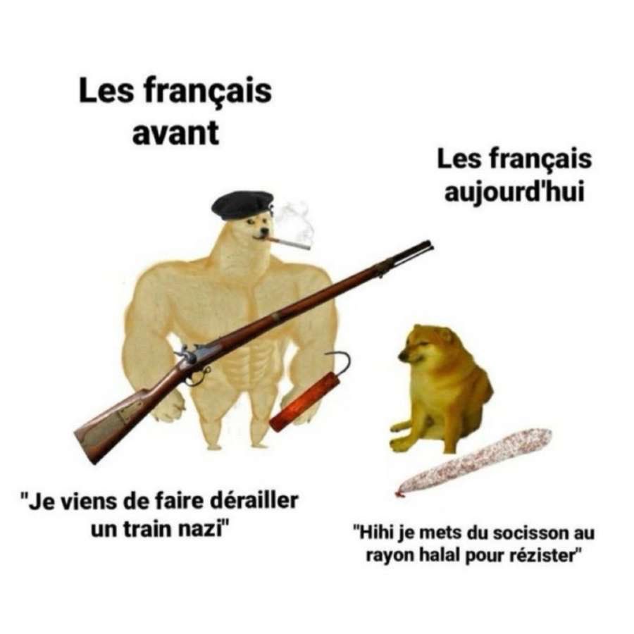 <a href="/CerfiaFR/">Cerfia</a> Les racistes en 2024