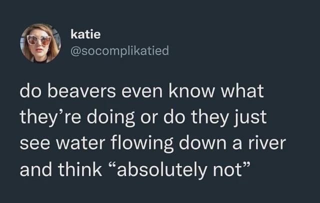 no context memes (@weirddalle) on Twitter photo 