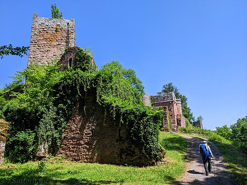 wanderspuren (@wanderspuren) on Twitter photo Neues bei <a href="/wanderspuren/">wanderspuren</a> - es geht weiter auf dem #Nibelungensteig - auch die letzten beiden Etappen dieses Fernwanderweges haben einiges zu bieten. Unser Fazit: ein Fernwanderweg der Superlative. #FernwanderwegeDeutschland #Odenwald wanderspuren.de/fernwanderwege… Neues bei <a href="/wanderspuren/">wanderspuren</a> - es geht weiter auf dem #Nibelungensteig - auch die letzten beiden Etappen dieses Fernwanderweges haben einiges zu bieten. Unser Fazit: ein Fernwanderweg der Superlative. #FernwanderwegeDeutschland #Odenwald wanderspuren.de/fernwanderwege…