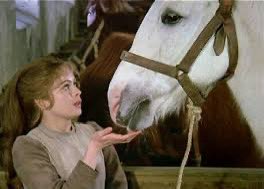 Markus Agøy Sand-Bruset tweet media