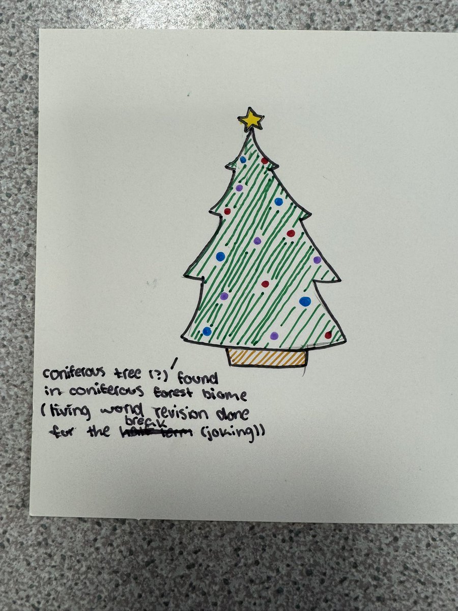 Ms Conner tweet media