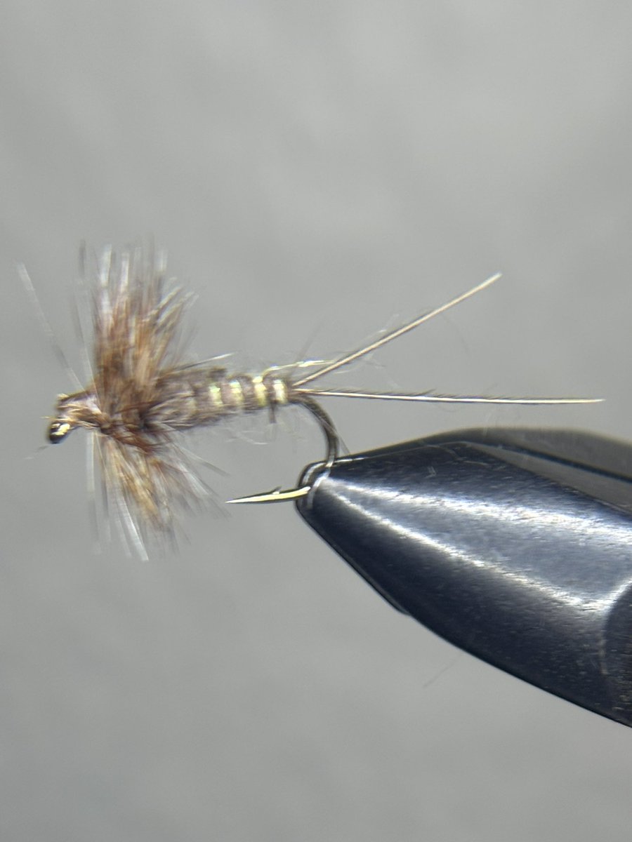Alpine_flies's tweet photo. 2 different photos of the same fly a schweiberts brown drake dun tied on a size 12 Montana fly company 7000 hook. The body is seal and beaver and what an amazing combo it is to work with

#flyfishing #fishing #fishingislife #flytying #flytyingjunkie #flytyingnation https://t.co/2QP4iZYXA6