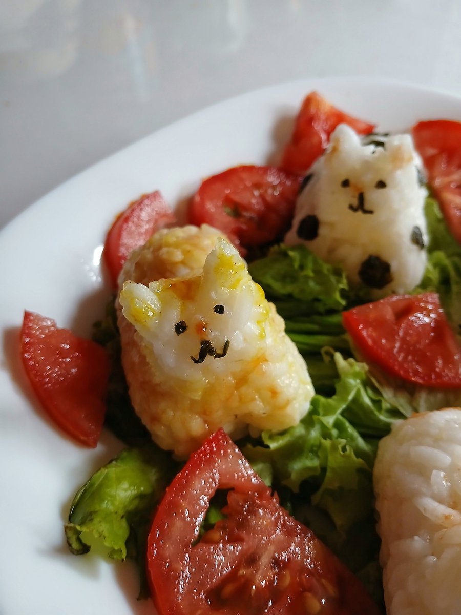 Aixacisnero20's tweet photo. baby are you ok? you've barely touched your ensalada de gatitos https://t.co/QMNxw5qb9o