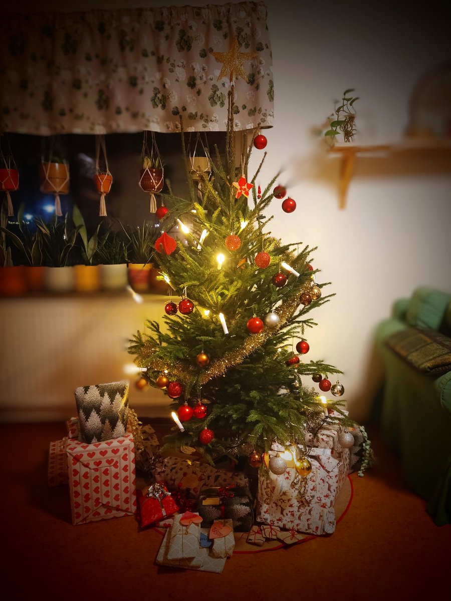 Tack vare <a href="/BjornBjorkqvist/">Björn Björkqvist</a> är granen nu på plats! God jul önskar vi!
