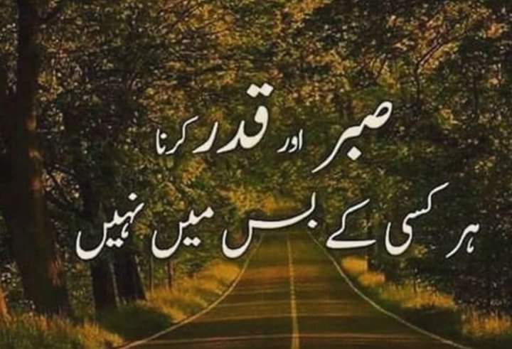 Good night 🌉 dear