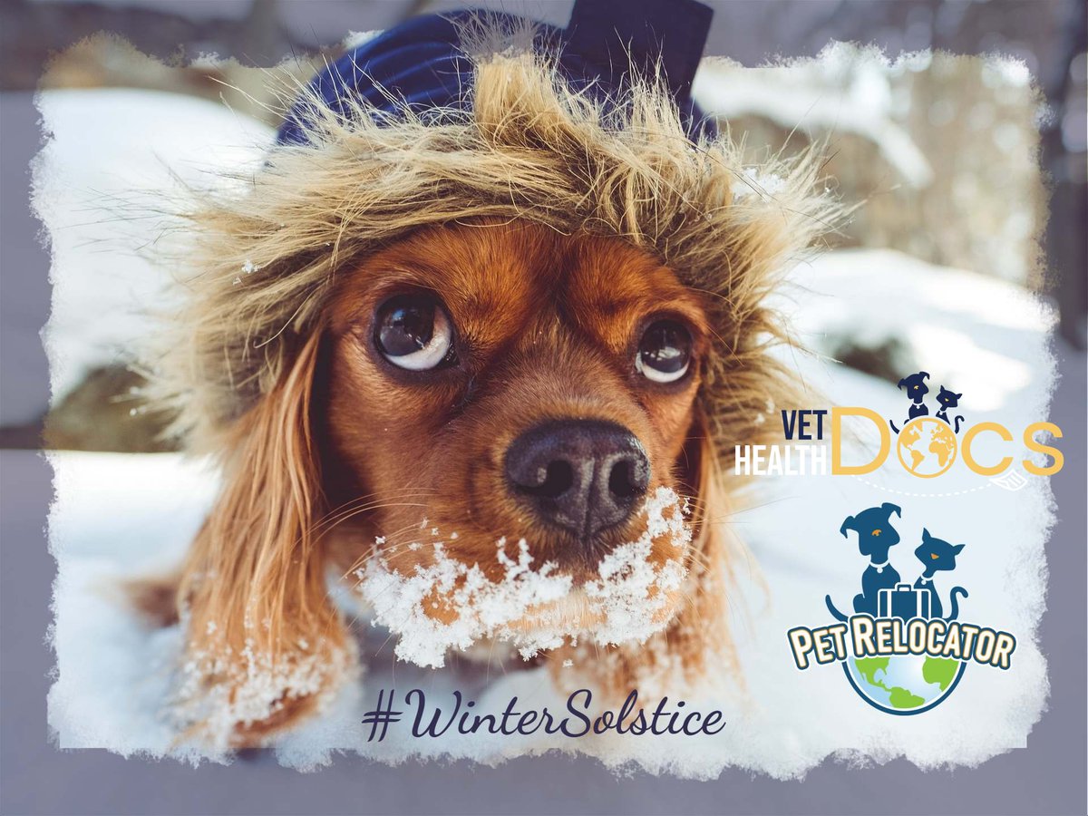 vethealthdocs's tweet photo. Happy #WinterSolstice! Today marks the shortest day and longest night of the year. While it may be dark and cold outside, let's embrace the opportunity to reflect, rest, and recharge. Enjoy the coziness of the season. ❄️🕯️ #WinterSolstice #CozyVibes https://t.co/W5I91RQPeI