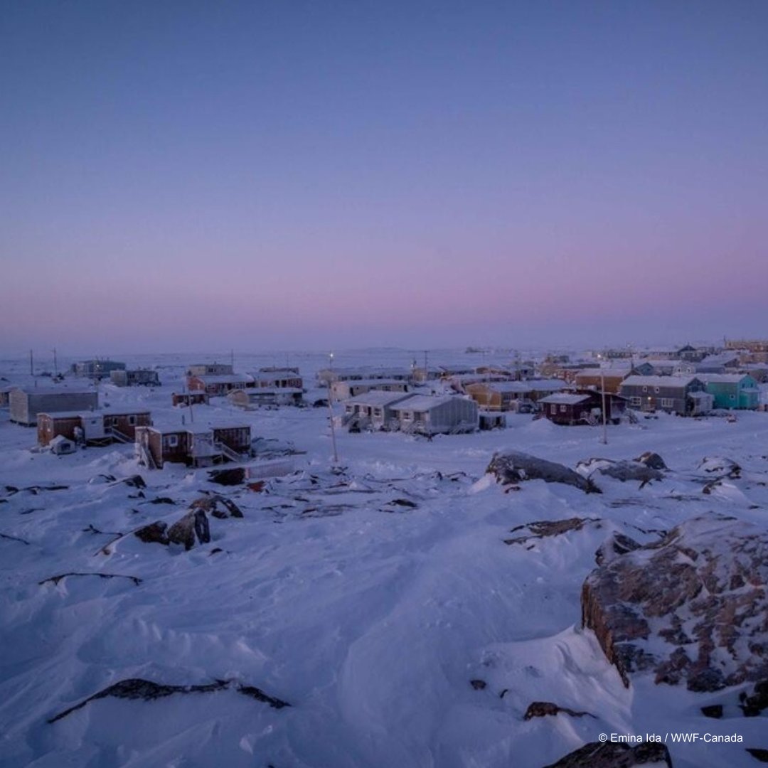 WWF-Canada en français tweet media