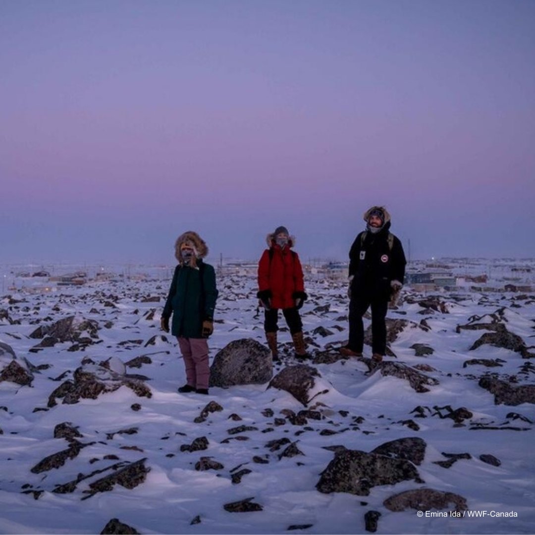 #Réussite2024 en conservation : Notre équipe de conservation de l’Arctique a soutenu des projets de recherche et des initiatives communautaires au Nunavut, dont les efforts de l’association Taloyoak Umarulirigut pour créer l’aire protégée et de conservation inuite d’Aqviqtuuq. 🐋