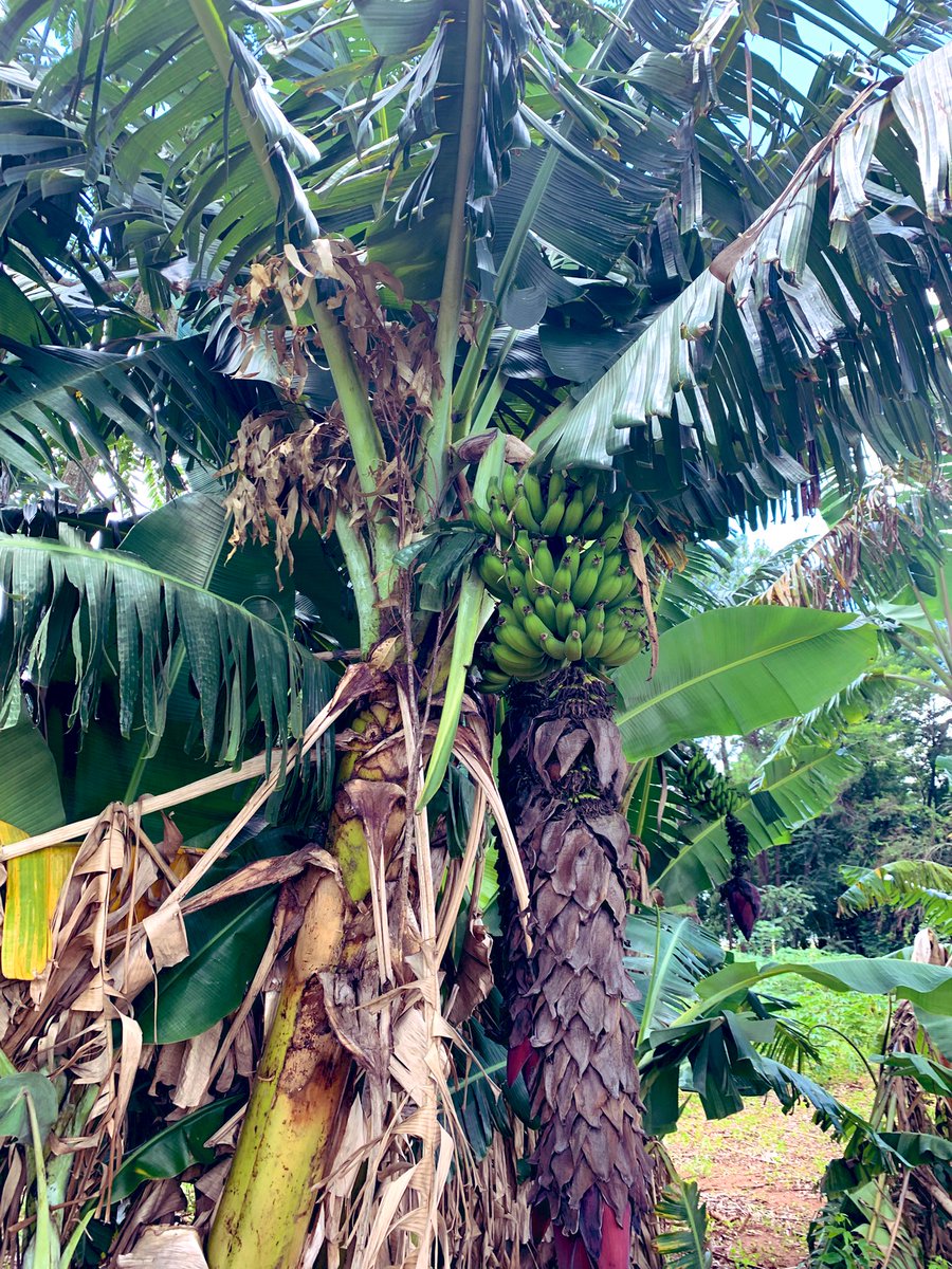 Crista 🔆 tweet media