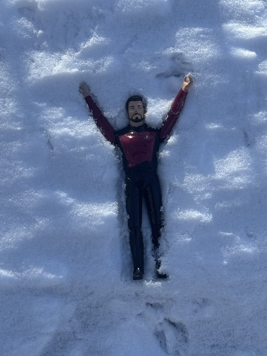 floobish's tweet photo. First snowfall!
#LittleRiker https://t.co/Q8fzXGFKVN