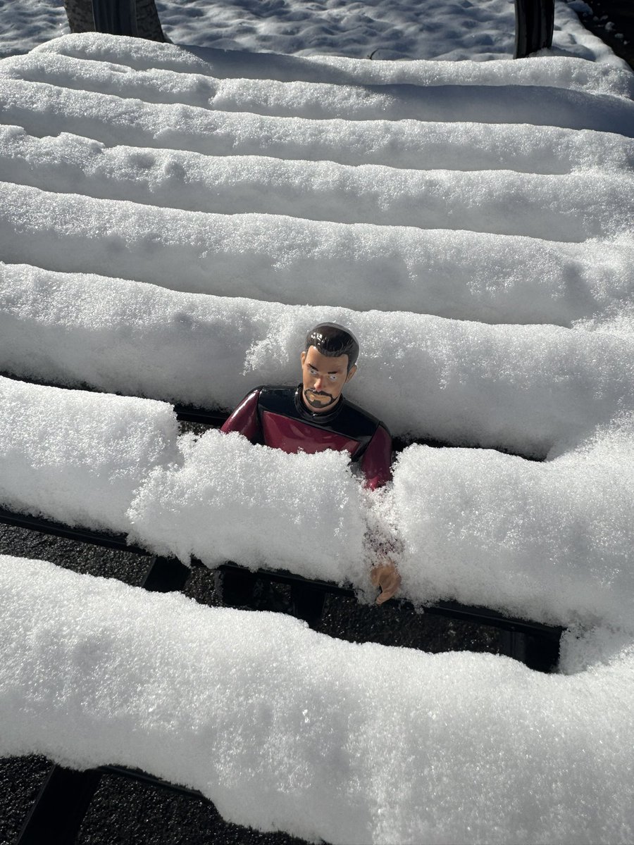 floobish's tweet photo. First snowfall!
#LittleRiker https://t.co/Q8fzXGFKVN