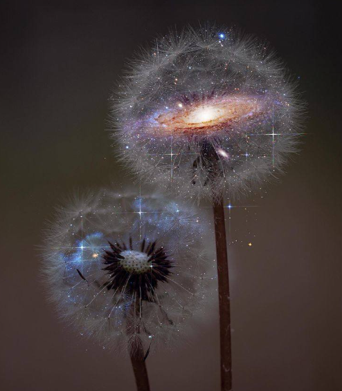 𝚙𝚛𝚘𝚌𝚎𝚜𝚜/ 𝙳𝙴𝙲𝙾𝙳𝙴. (@miisericordiax) on Twitter photo 