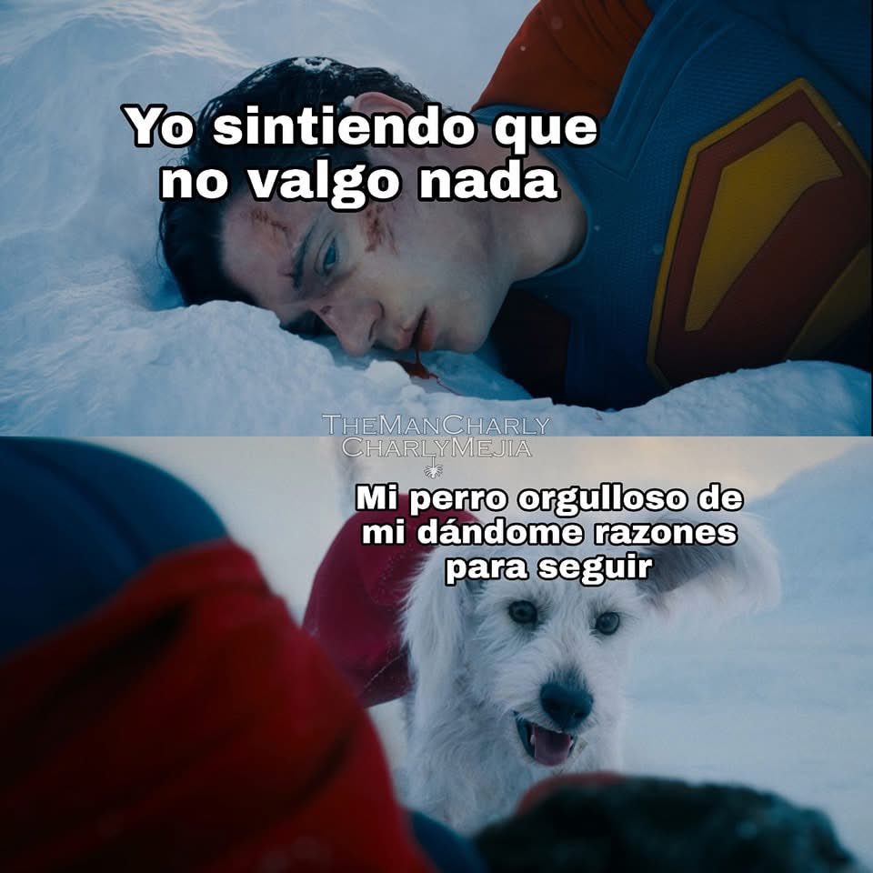 Peli_Comic's tweet photo. El mejor amigo del hombre 🐕 https://t.co/QAk5tITkRO