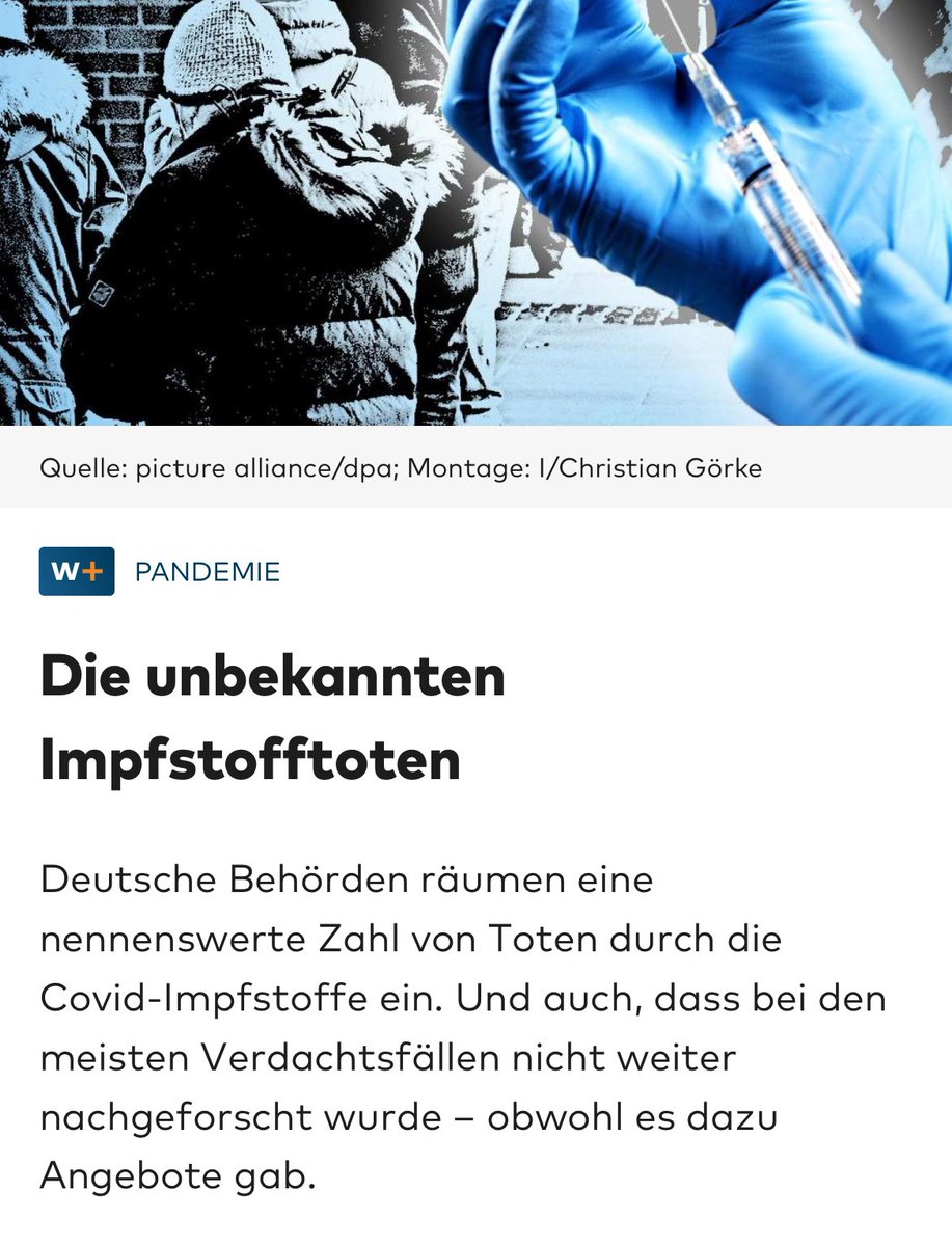 stefanie tweet media