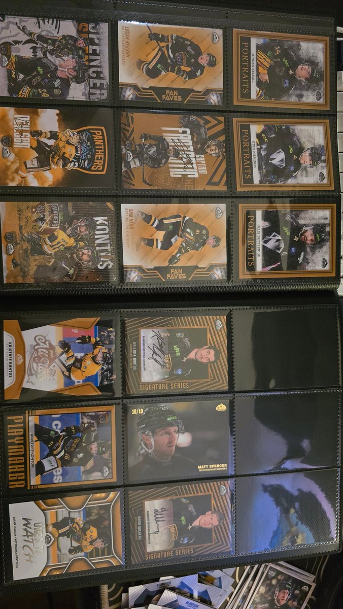 ryanradford9's tweet photo. @PanthersIHC @BSTradingCards some pretty good pulls, a good start to christmas 😁 https://t.co/BEG2lQXDZp