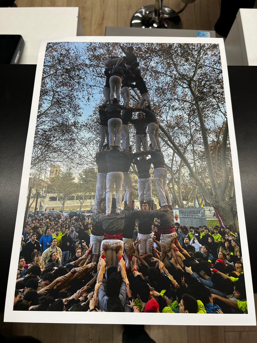 Selma Bove Serra tweet media