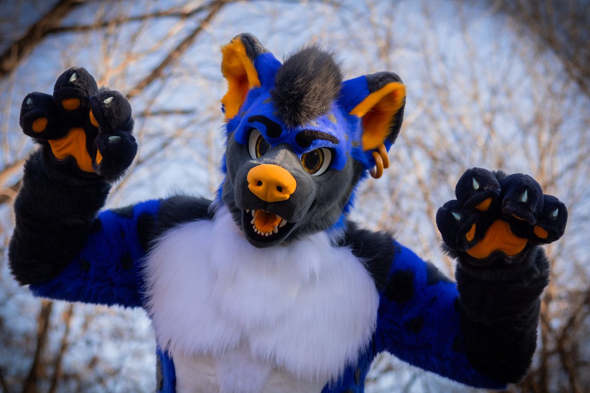 DensCreations LLC tweet media