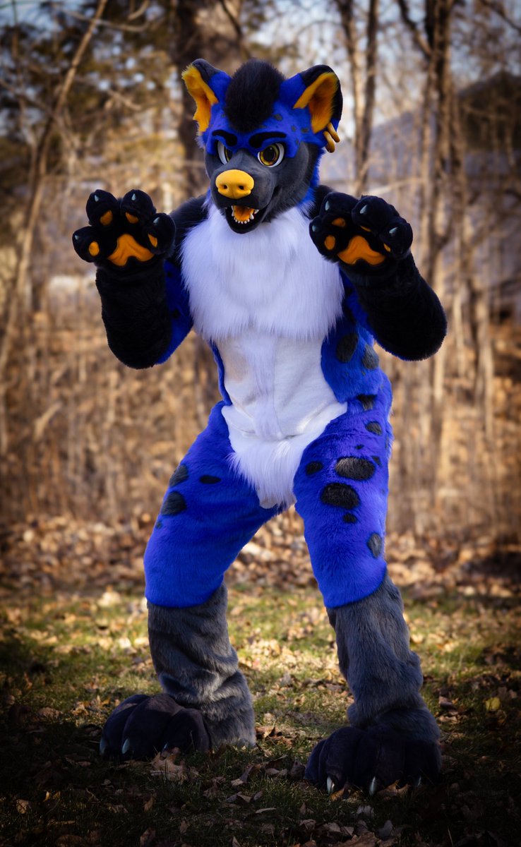 DensCreations LLC tweet media