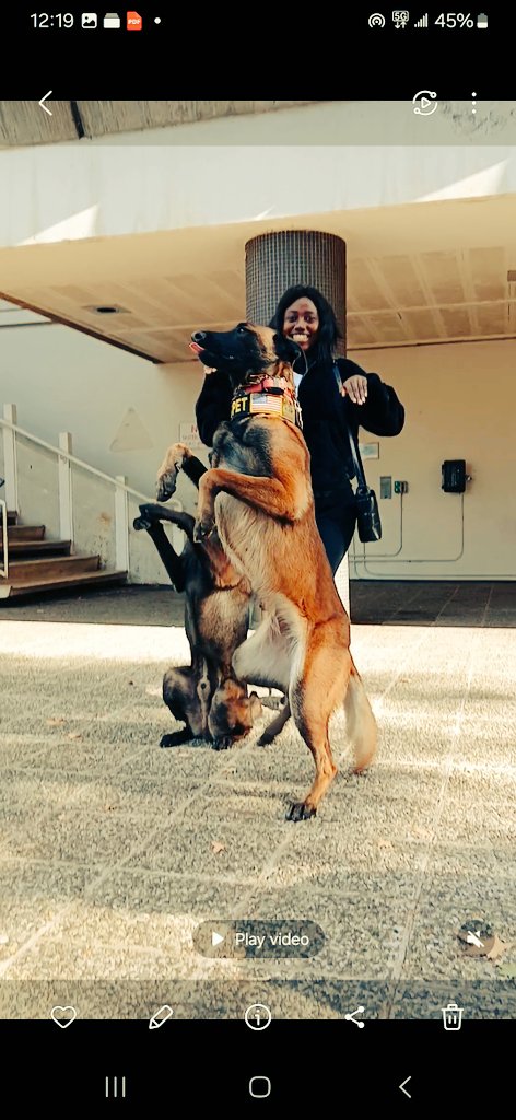 BulyaDesire's tweet photo. True loyalty is not just about being faithful when things are easy, but staying committed when things are tough. The fruits of loyalty are harvested no matter the time in waiting. #iamloyalty https://t.co/KJZXdGtxl1