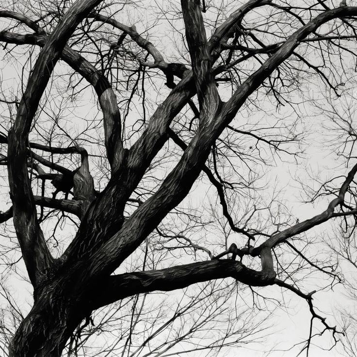 ⠀

Where  does  one’s  life  begin?

⠀