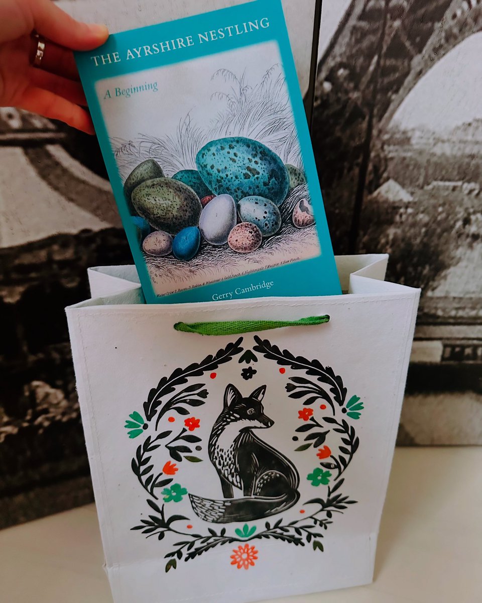 Kirsten MacQuarrie MCLIP (@ggallerina) on Twitter photo A fellow literature lover is getting this gem for Xmas - if you’re also a fan of poetic prose and nature-nurtured adolescent adventures, DM <a href="/thedarkhorsemag/">The Dark Horse</a> to order! 🤞the wet weather doesn’t make my seed paper gift bag start sprouting before it reaches its new home… 🦊💝🪺 A fellow literature lover is getting this gem for Xmas - if you’re also a fan of poetic prose and nature-nurtured adolescent adventures, DM <a href="/thedarkhorsemag/">The Dark Horse</a> to order! 🤞the wet weather doesn’t make my seed paper gift bag start sprouting before it reaches its new home… 🦊💝🪺