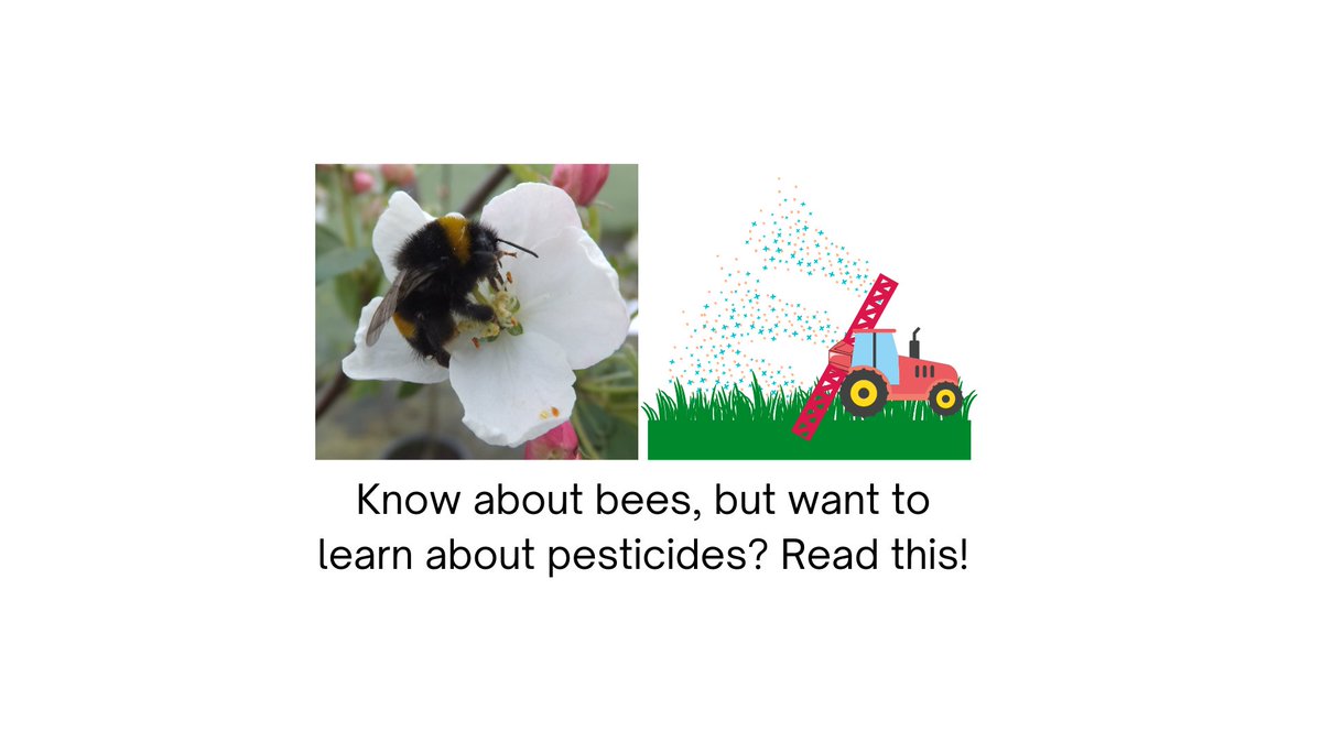 Ed Straw (@edstrawbio) on Twitter photo ATTENTION ECOTOX PEOPLE: We wrote a primer on bee and pesticide science! Specifically written to be an accessible short guide for post / undergrads. It explains all the basic lingo and concepts in simple language. <a href="/DaraStanley/">Dara Stanley</a>
doi.org/10.1111/1365-2… ATTENTION ECOTOX PEOPLE: We wrote a primer on bee and pesticide science! Specifically written to be an accessible short guide for post / undergrads. It explains all the basic lingo and concepts in simple language. <a href="/DaraStanley/">Dara Stanley</a>
doi.org/10.1111/1365-2…