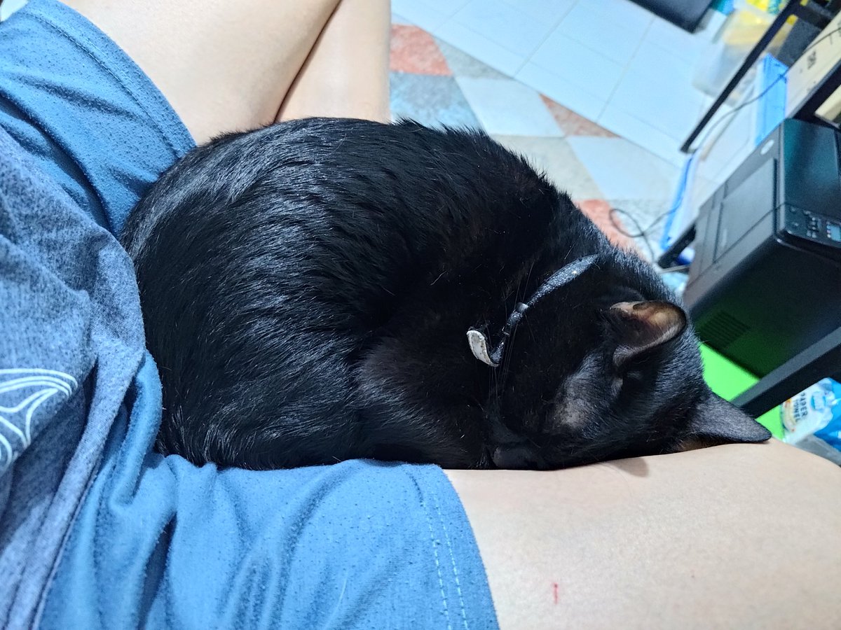 Dito na ko mamamatay