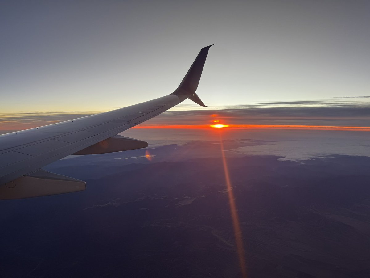 Red Panda Mining tweet media