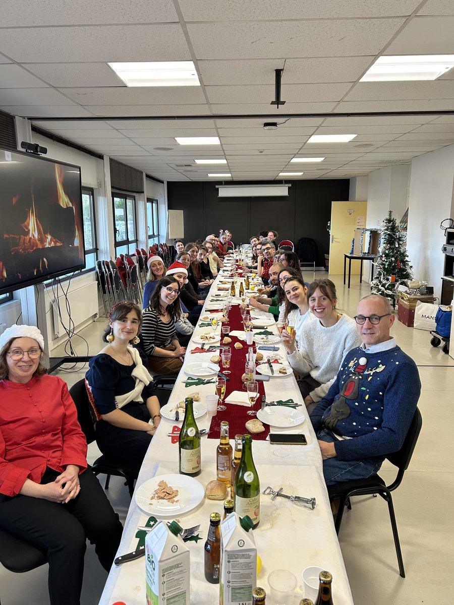 It's Christmas time 🎅 ! This year we were inspired to decorate the Christmas tree with recycled lab material ornements, hope you like our🎄. #InsermU1034 wishes you happy holidays !