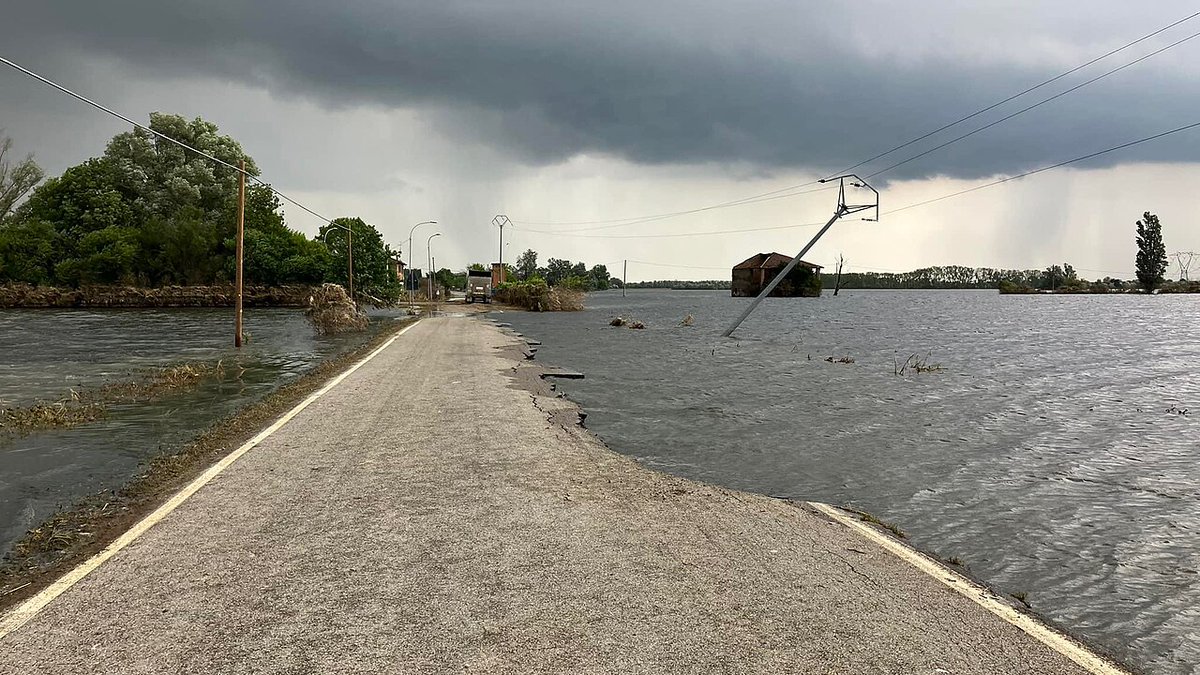 CRIMEDIM tweet media