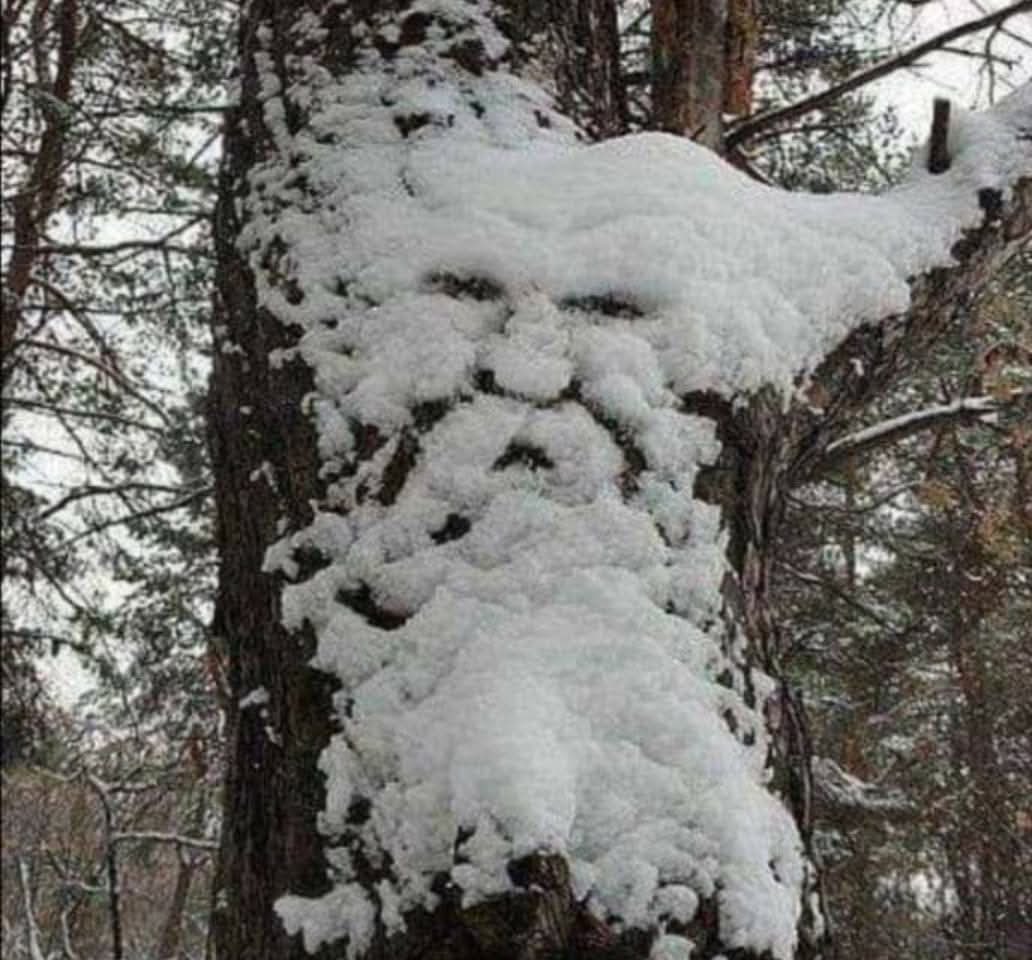 RubyRedSea tweet media