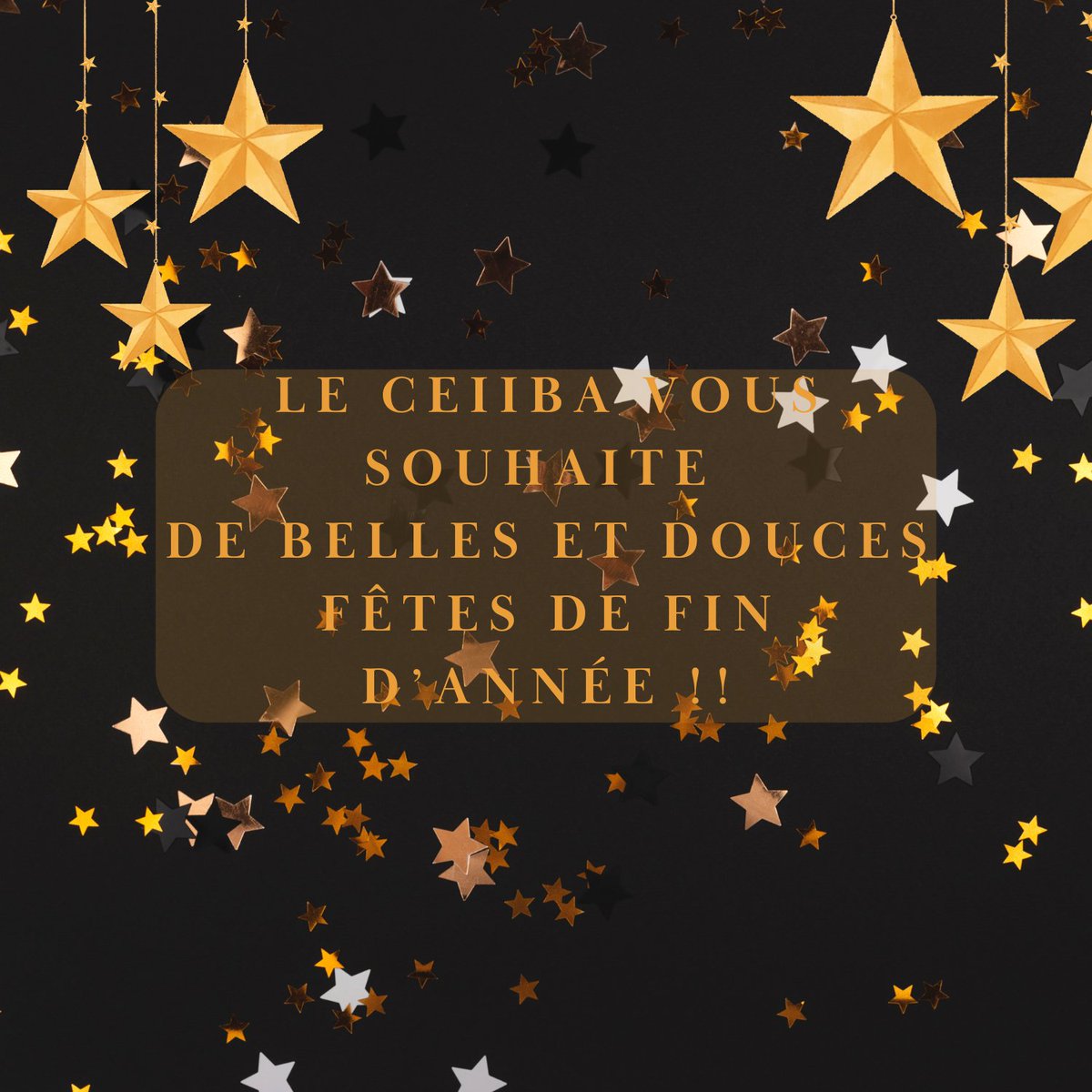 CEIIBA (@ceiiba_ut2j) on Twitter photo 